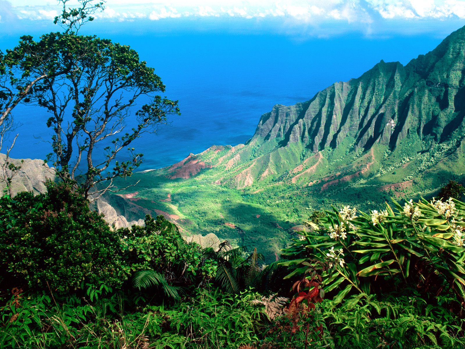 World Visits Visit to Hawaii Cool Place For Visit
